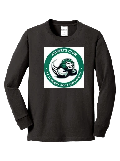 Youth Long Sleeve Core Cotton Tee preview, front
