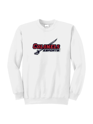 Port & Co Essential Fleece Crewneck Sweatshirt preview, front