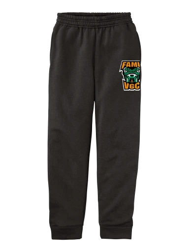 Youth Core Fleece Jogger preview, front