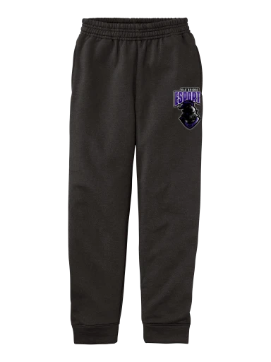 Youth Core Fleece Jogger preview, front
