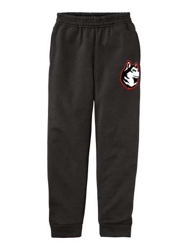 Youth Core Fleece Jogger preview, front
