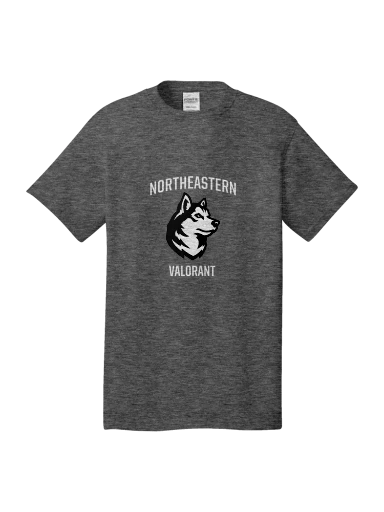 Valorant Cotton Tee (Gray) preview, front