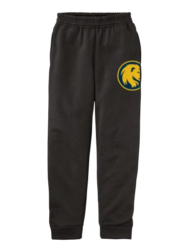 Youth Core Fleece Jogger preview, front