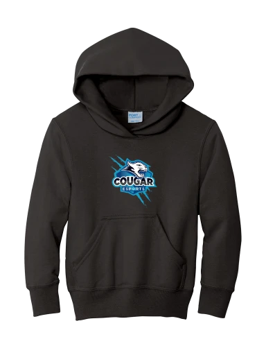 Youth Core Fleece Pullover Hooded Sweatshirt preview, front