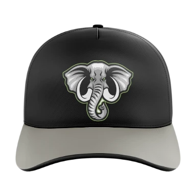 Giants Baseball Cap preview, front