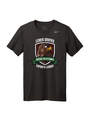 Nike Team rLegend Tee preview, front