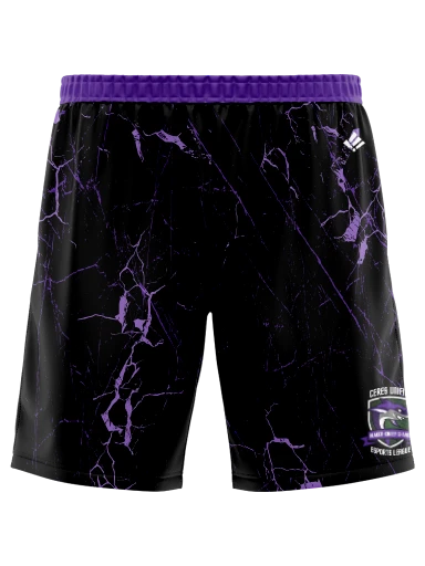 Mens Sublimated Shorts preview, front