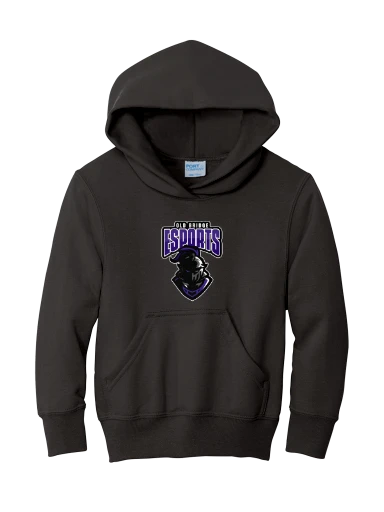 Youth Core Fleece Pullover Hooded Sweatshirt preview, front