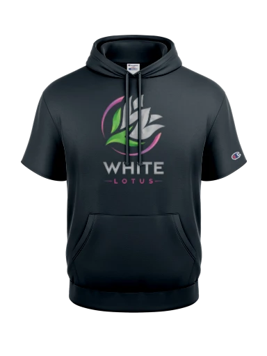 Champion Reverse Weave Short Sleeve Hooded Sweatshirt preview, front