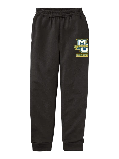 Youth Core Fleece Jogger preview, front