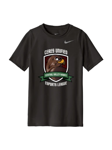Nike Youth Team rLegend Tee preview, front
