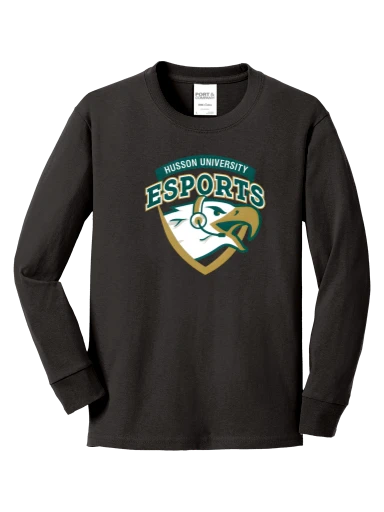 Youth Long Sleeve Core Cotton Tee preview, front