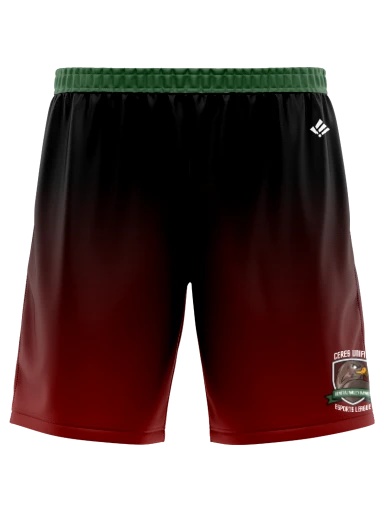 Mens Sublimated Shorts preview, front