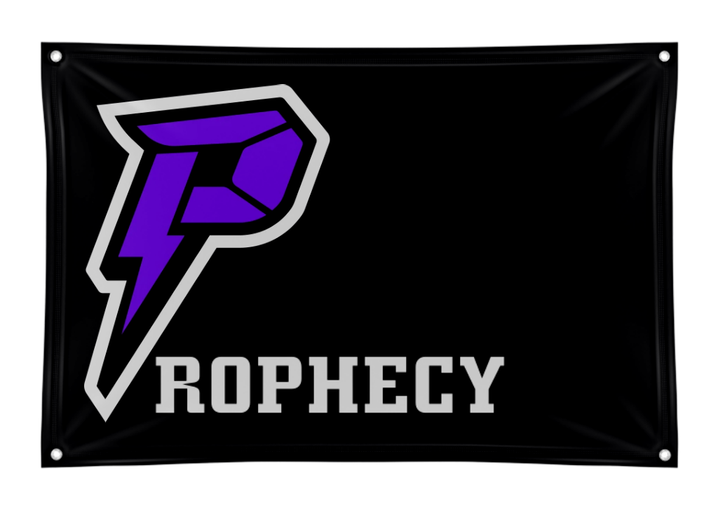 Logo Banner with Grommets – Prophecy Esports - Exclaim