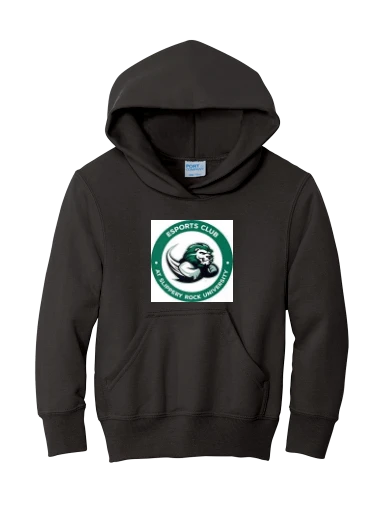 Youth Core Fleece Pullover Hooded Sweatshirt preview, front