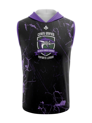 Sublimated Sleeveless Hoodie preview, front