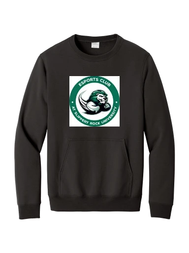 Core Fleece Crewneck Pocket Sweatshirt preview, front