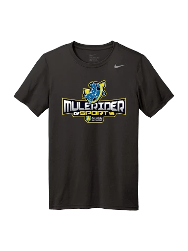 Nike Team rLegend Tee preview, front