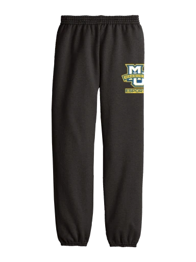 Youth Core Fleece Sweatpant preview, front