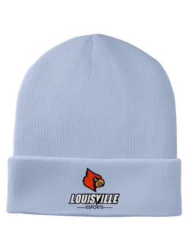 Fleece-Lined Knit Cap preview, front