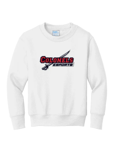 Port & Co Youth Core Fleece Crewneck Sweatshirt preview, front
