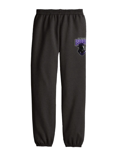 Youth Core Fleece Sweatpant preview, front