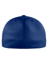 View back