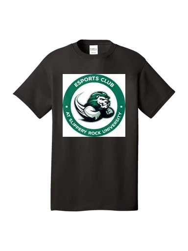 Women's Fitted Perfect Tri Tee preview, front