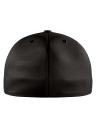 View back