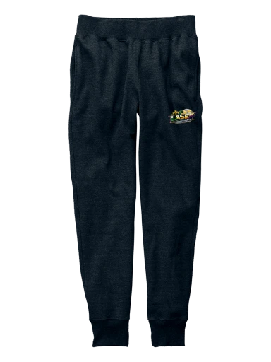 LASEF Champion Reverse Weave Jogger preview, front