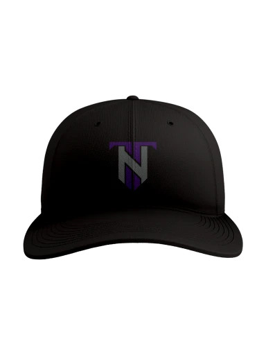 Hat - Snapback - DVAM preview, front