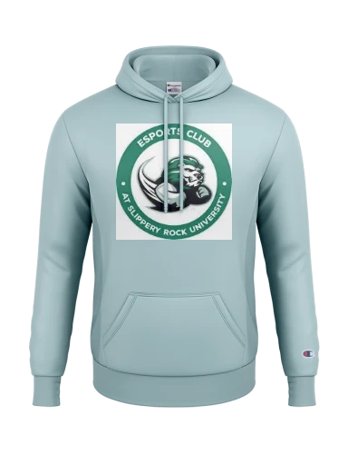 Champion Reverse Weave Garment-Dyed Hooded Sweatshirt preview, front
