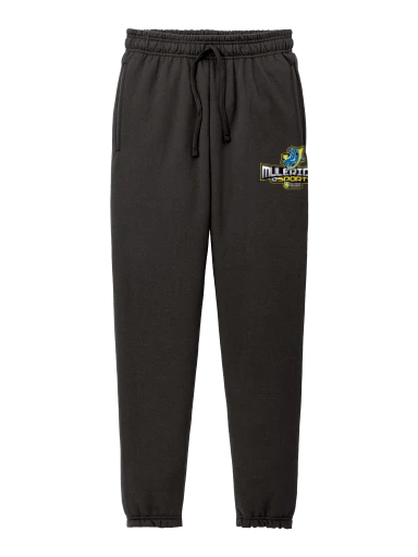 Core Fleece Sweatpant preview, front