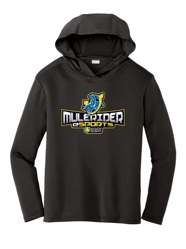 Youth PosiCharge Competitor Hooded Pullover preview, front