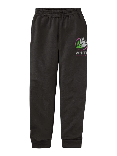 Youth Core Fleece Jogger preview, front