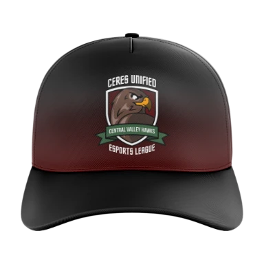Sublimated 5 Panel Curved Bill Cap preview, front