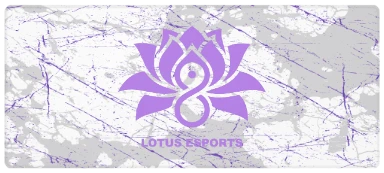 XXL Gaming Mouse Pads preview, front