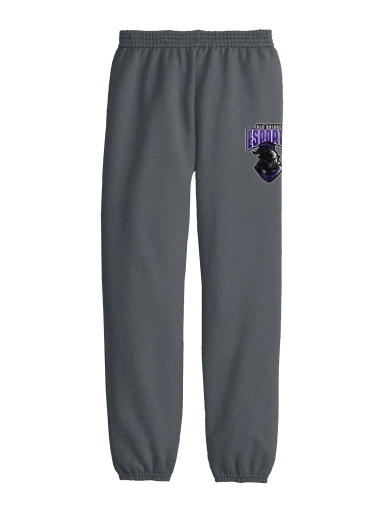 Youth Core Fleece Sweatpant preview, front