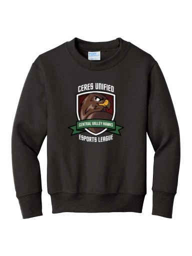 Port & Co Youth Core Fleece Crewneck Sweatshirt preview, front