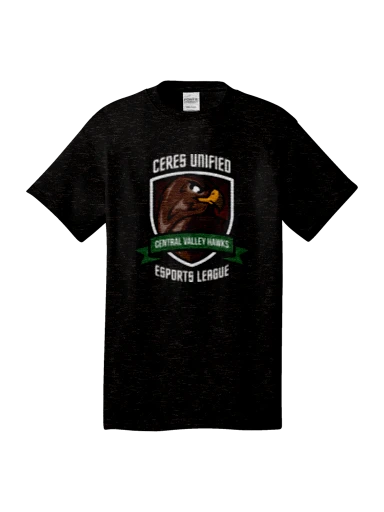 Port & Co Core Cotton Tee preview, front