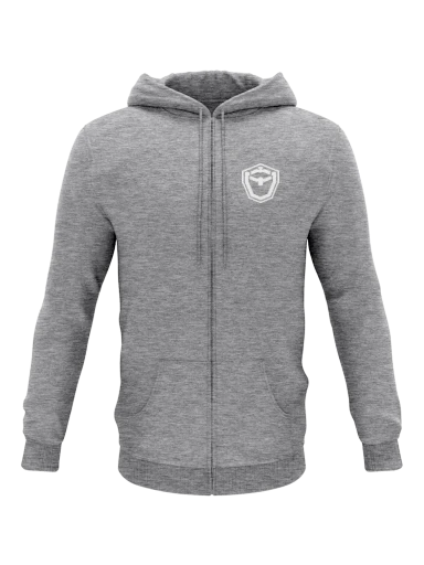 Embroidered Hooded Sweatshirt preview, front