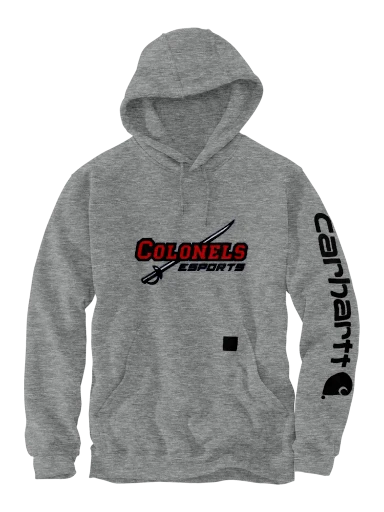 Carhartt Midweight Hooded Logo Sweatshirt preview, front