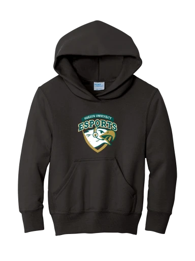 Youth Core Fleece Pullover Hooded Sweatshirt preview, front