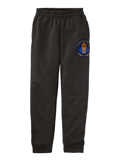 Port & Co Youth Core Fleece Jogger preview, front