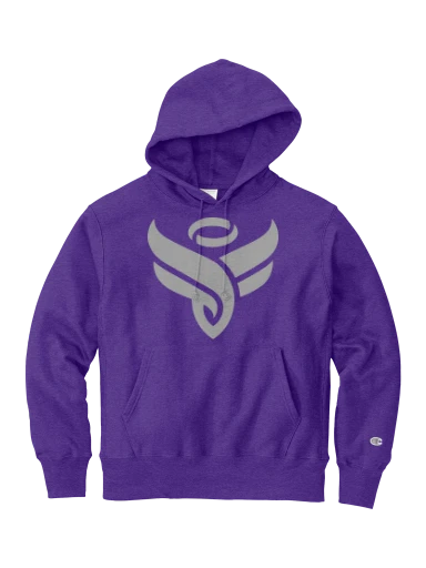 Champion Reverse Weave Hooded Sweatshirt preview, front