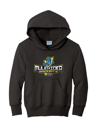 Youth Core Fleece Pullover Hooded Sweatshirt preview, front