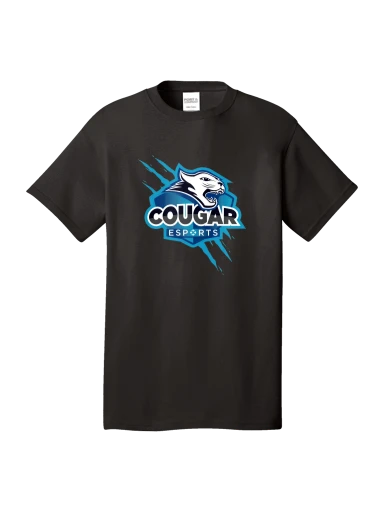 Women's Fitted Perfect Tri Tee preview, front