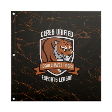 Sublimated Flag with Grommets - 24"x24" preview, front
