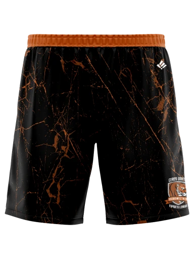 Mens Sublimated Shorts preview, front
