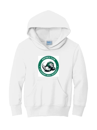 Youth Core Fleece Pullover Hooded Sweatshirt preview, front